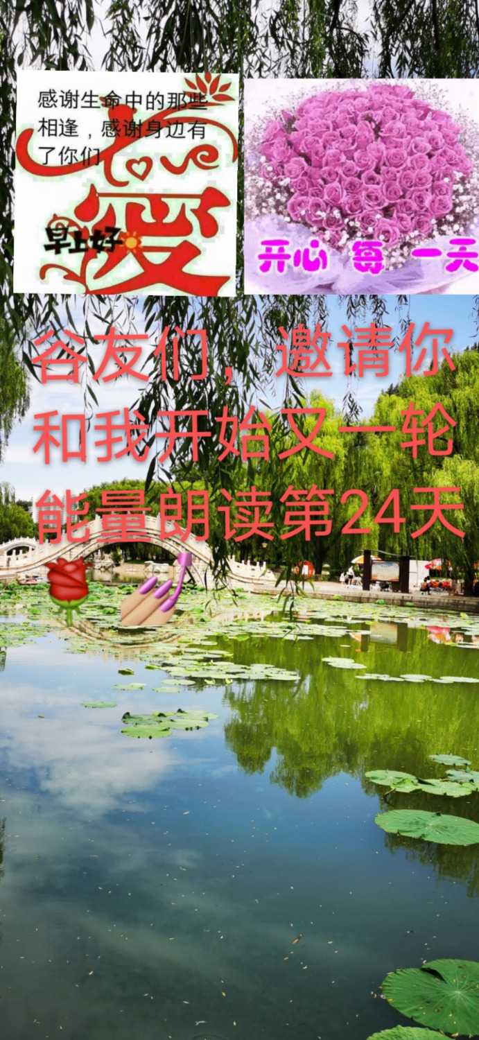 mmexport1624141219215.jpg