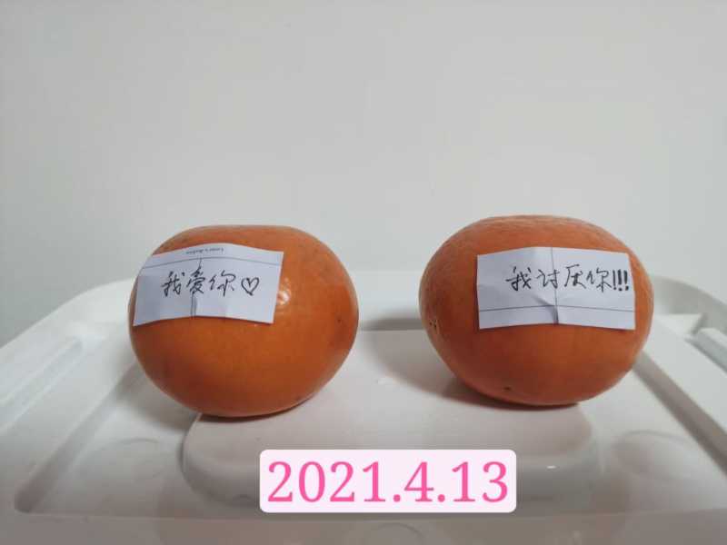 mmexport1620888565955.jpg
