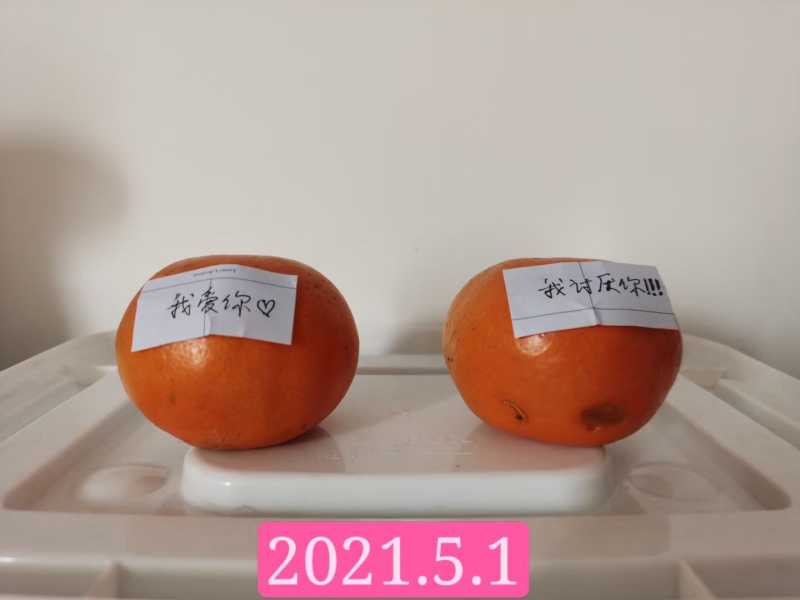 mmexport1620888578510.jpg