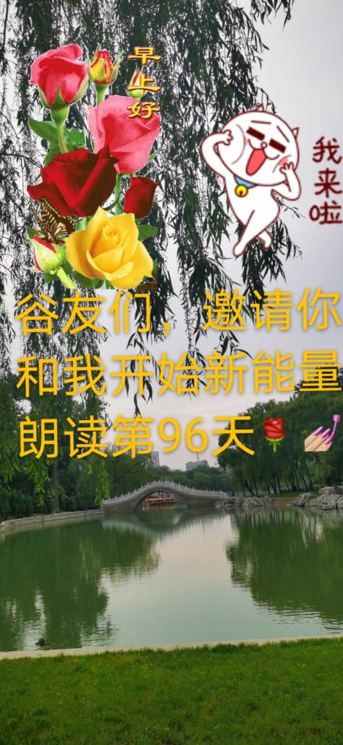 mmexport1621216947048.jpg