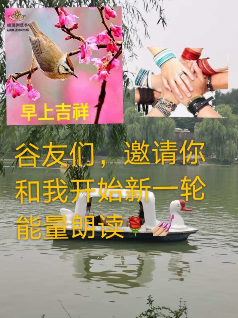 mmexport1621991152133.jpg