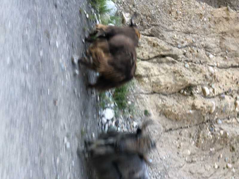 C94AF1D7-3B83-443E-AF21-42C70629C961.jpeg