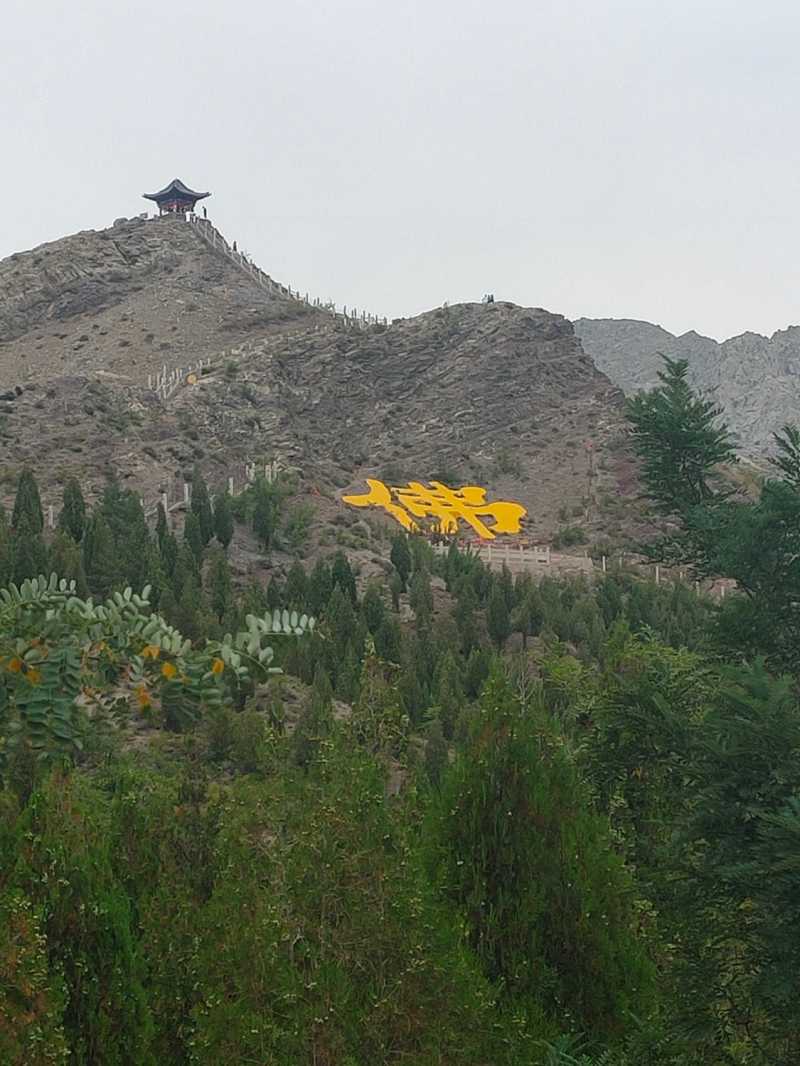 IMG20210811142834.jpg