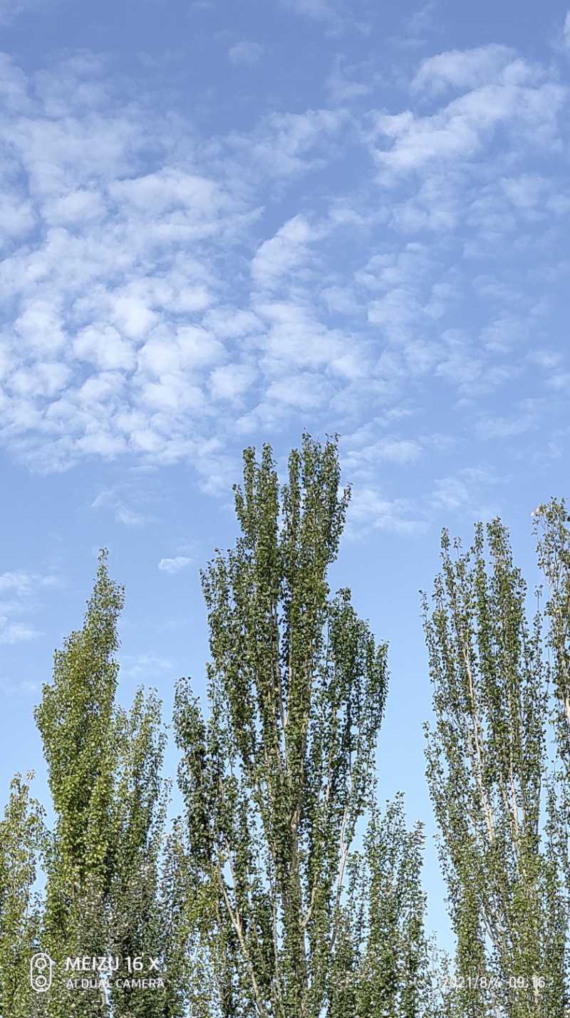 P10804-091646.jpg