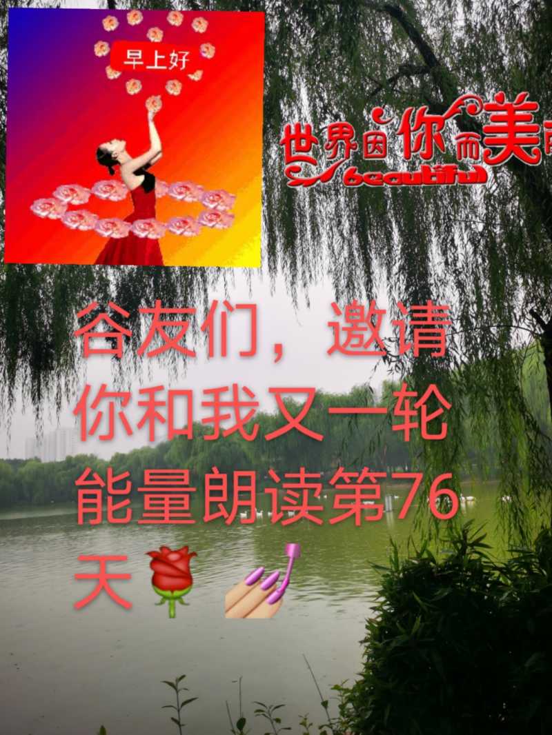 mmexport1629422047523.jpg