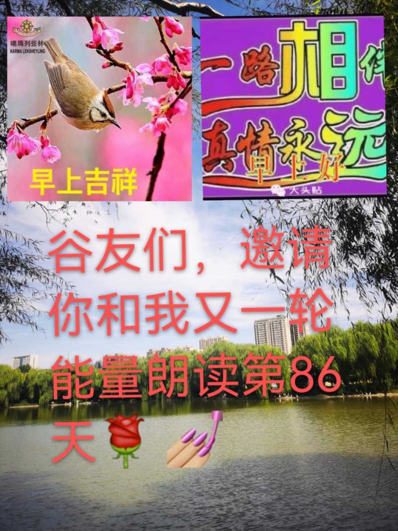 mmexport1630311113311.jpg