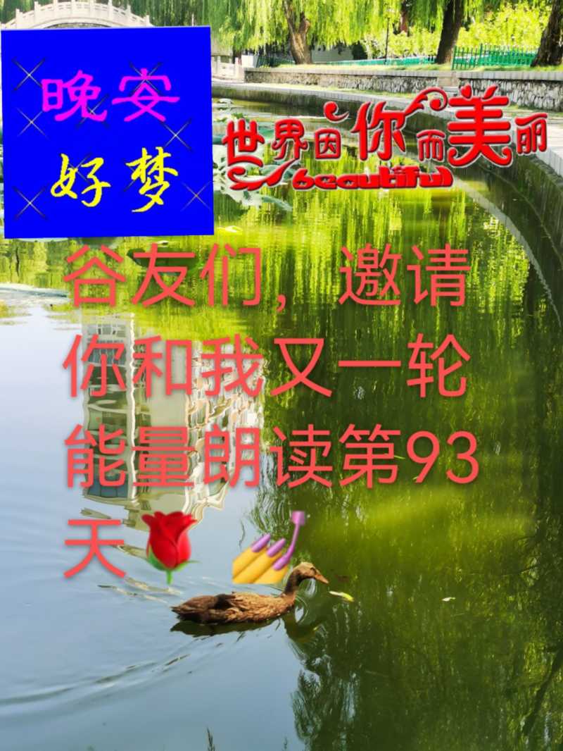mmexport1631013960581.jpg