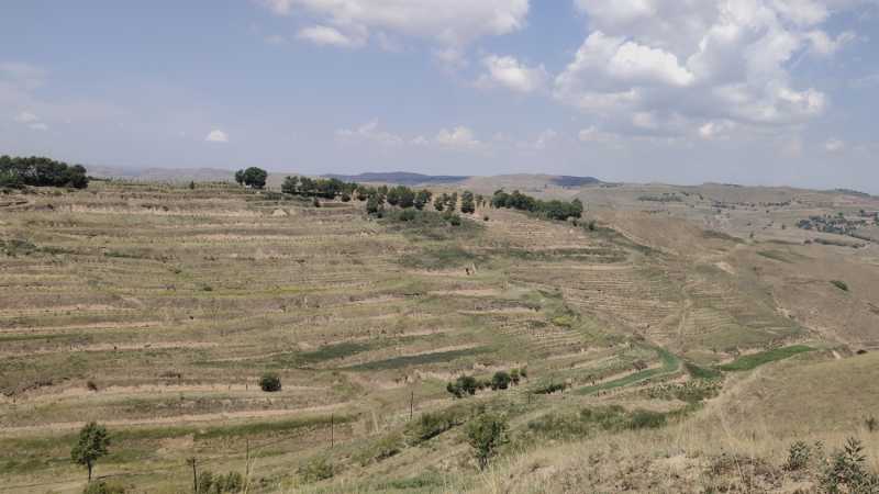 Wuta_20210708_111847.jpg