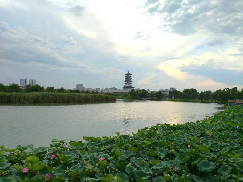 IMG20210710181948.jpg