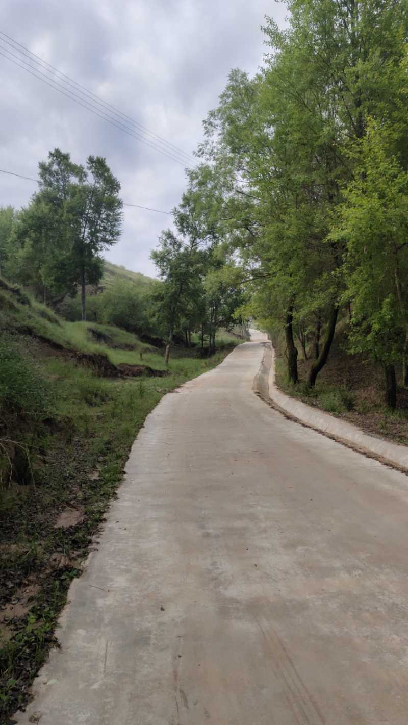 Wuta_20210717_073945.jpg