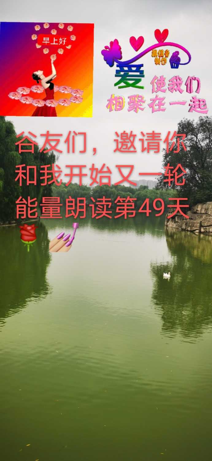 mmexport1626582426051.jpg