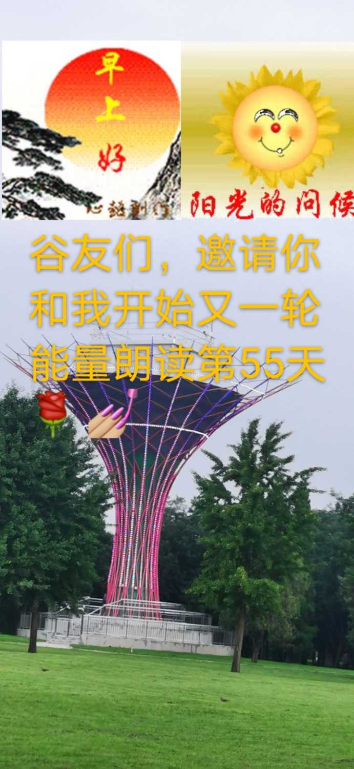 mmexport1627101886198.jpg