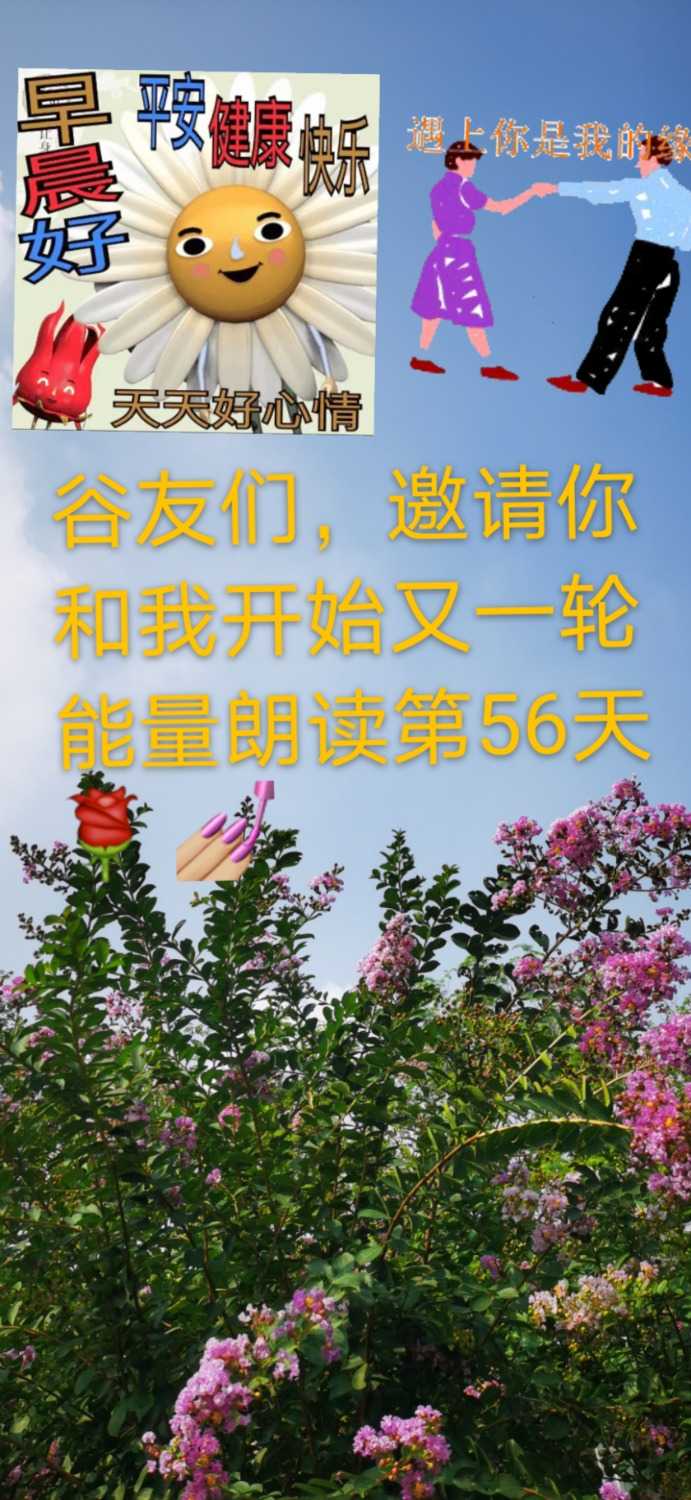 mmexport1627165431243.jpg