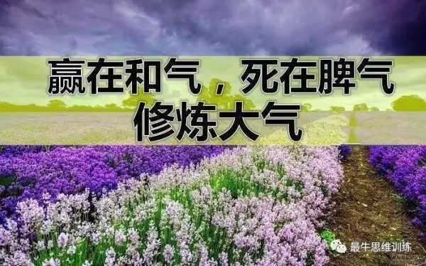 mmexport37cea4b362b6834834e22b127a8bcb66_1635897512967.jpeg