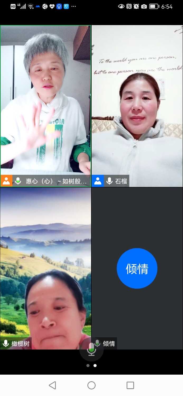 Screenshot_20211104_185435_com.tencent.wemeet.app.jpg