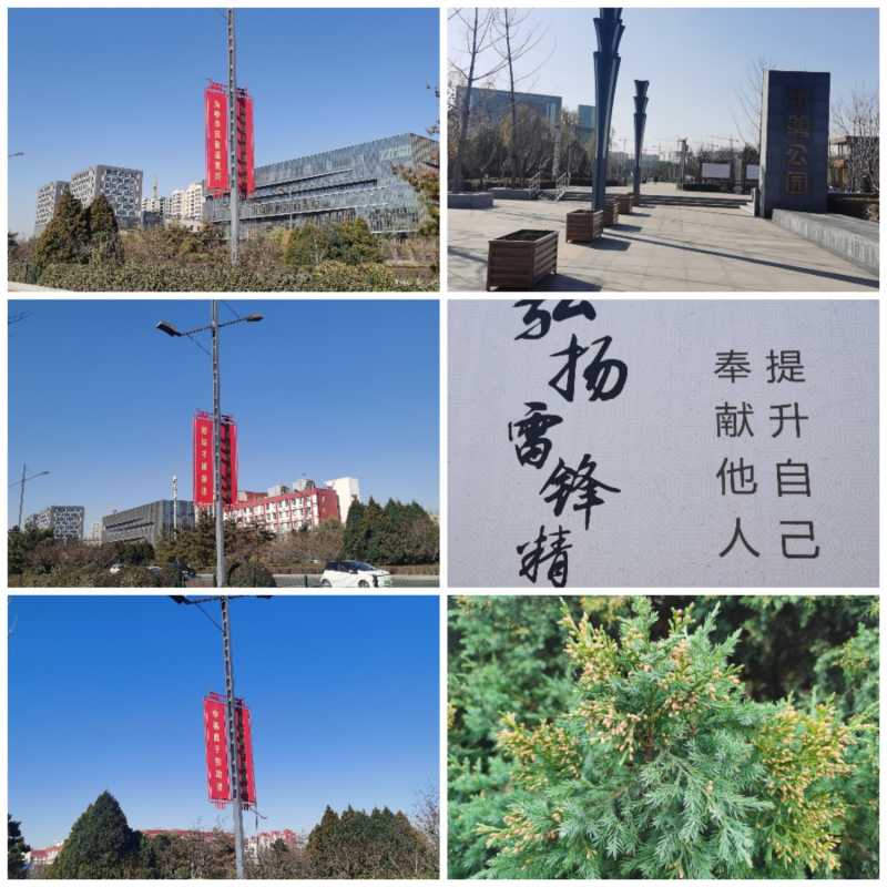 Collage_20211112_134556.jpg