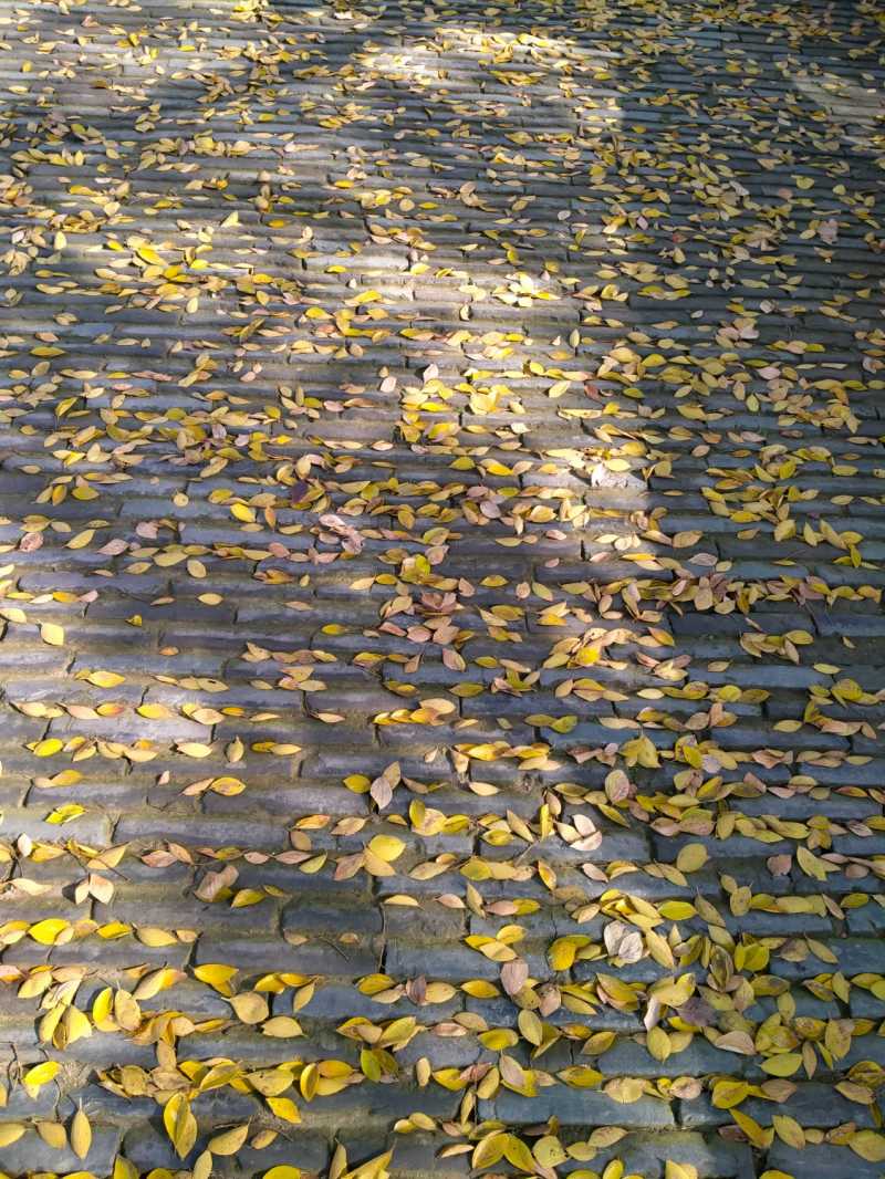 IMG20211120112426.jpg