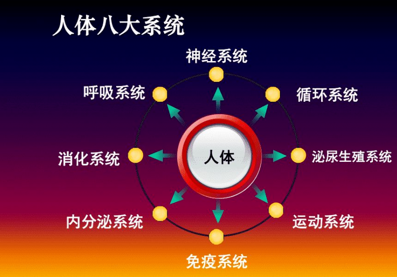 mmexport65a01477c81aa15ae37b8b38cfc1c74e_1637626432844.png