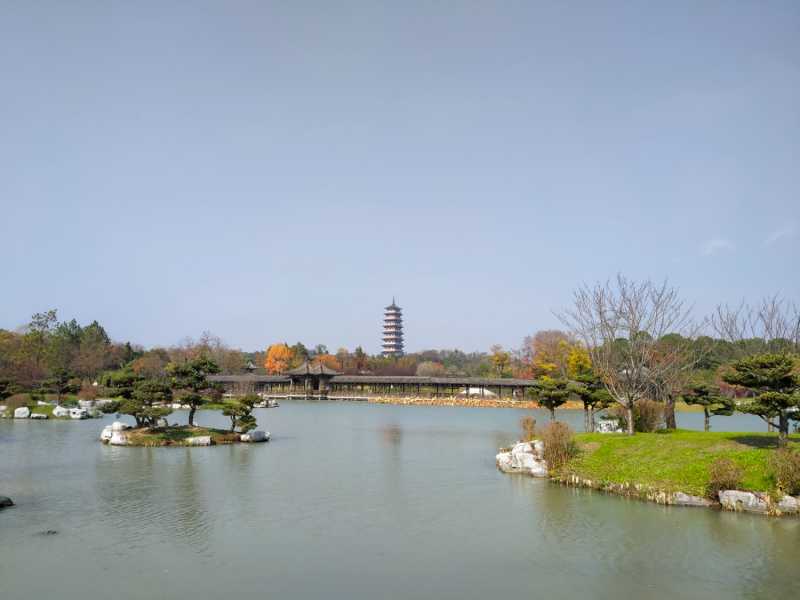 IMG20211120110051.jpg