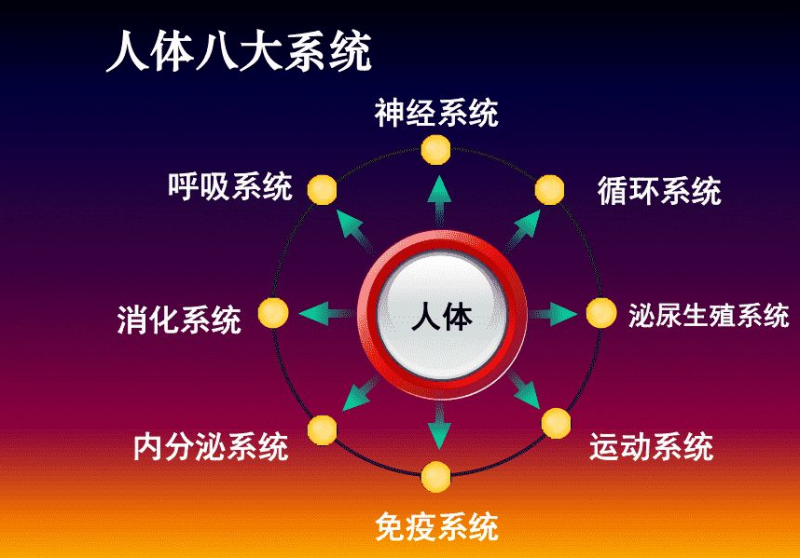 mmexport65a01477c81aa15ae37b8b38cfc1c74e_1638959309069.png