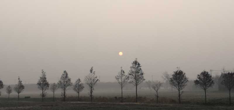 wx_camera_1638833003104.jpg