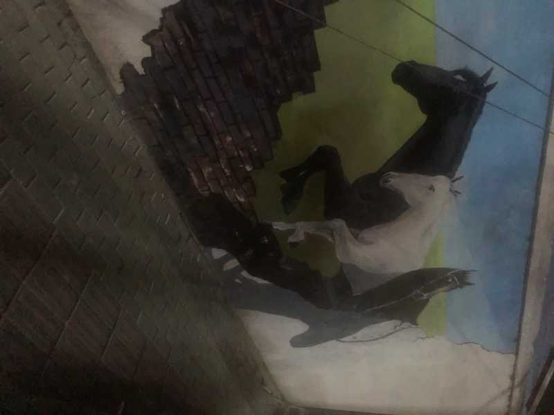 D2071E0A-F1B0-4F09-8163-29942D5FDAAF.jpeg