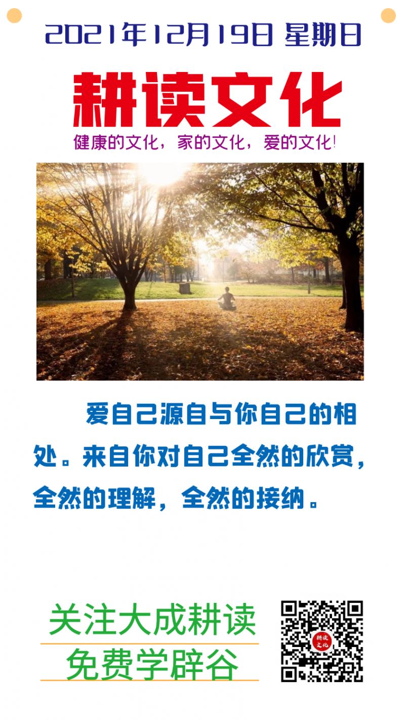 PIC_1638691309588.png