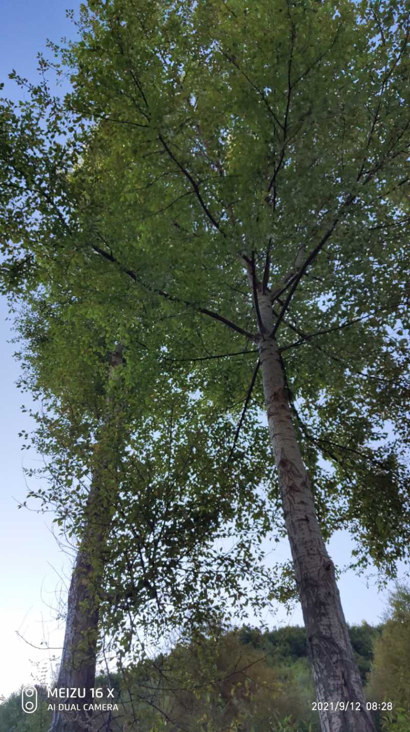 P10912-082804.jpg