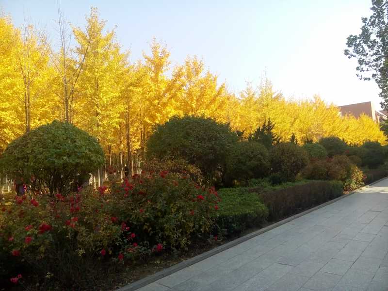 P71026-125035.jpg