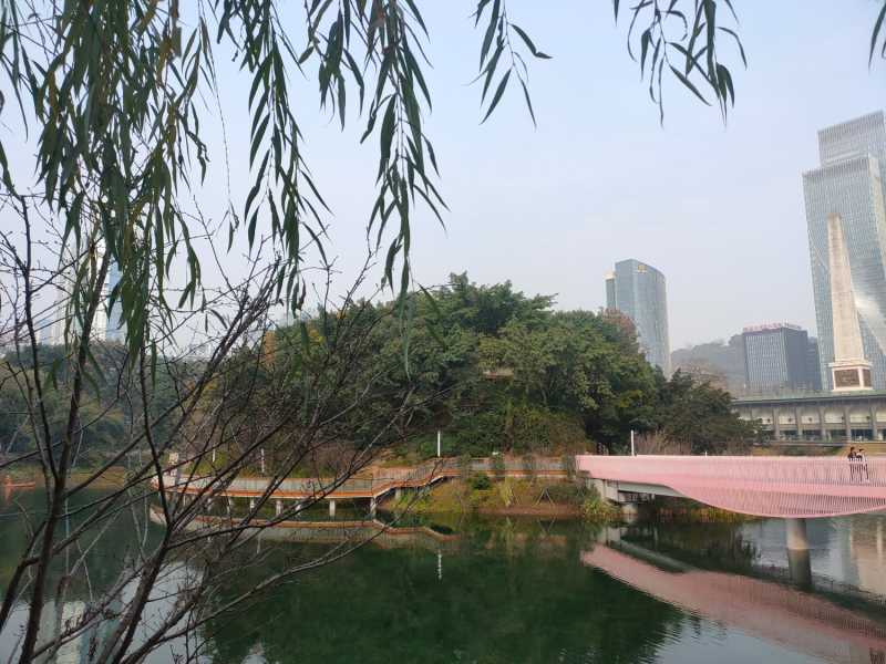 IMG20220102105257.jpg