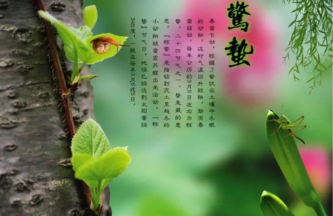 3848CDB3-AFDF-49A1-A7C0-E57EA9B827AA.png