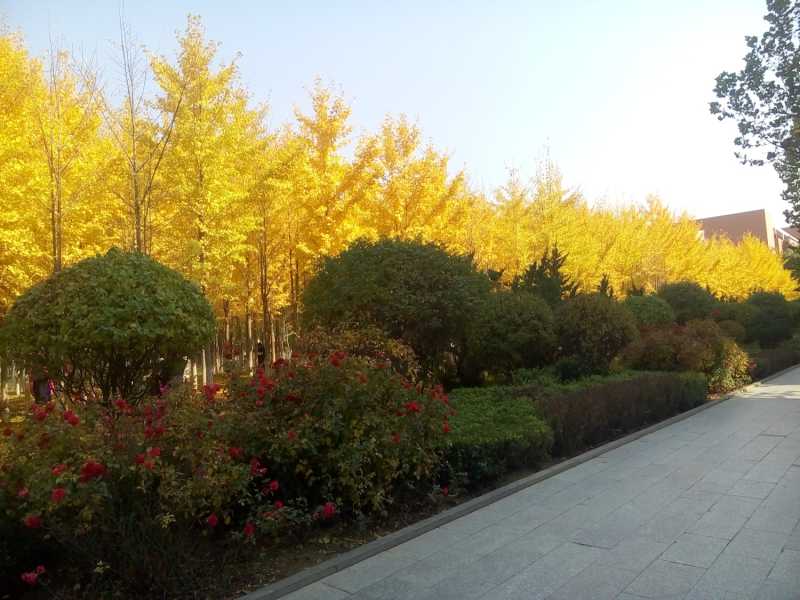 P71026-125035.jpg