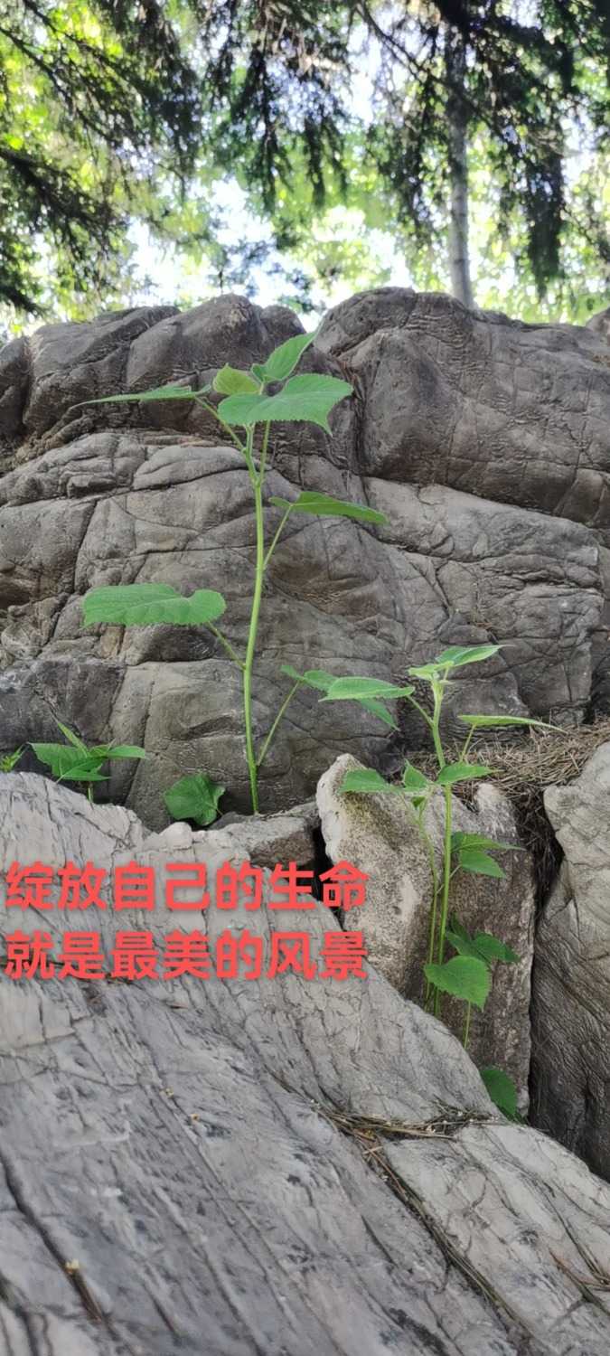 wx_camera_1655164591585.jpg