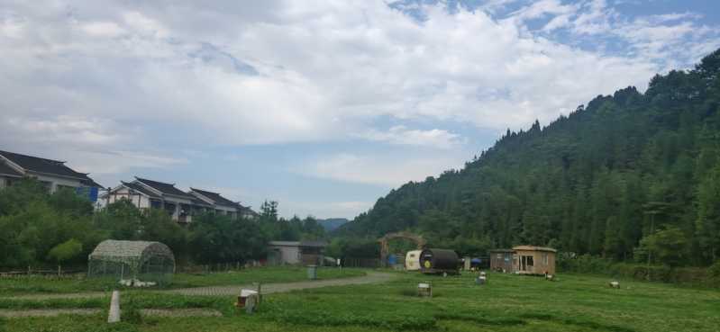 wx_camera_1656496213110.jpg