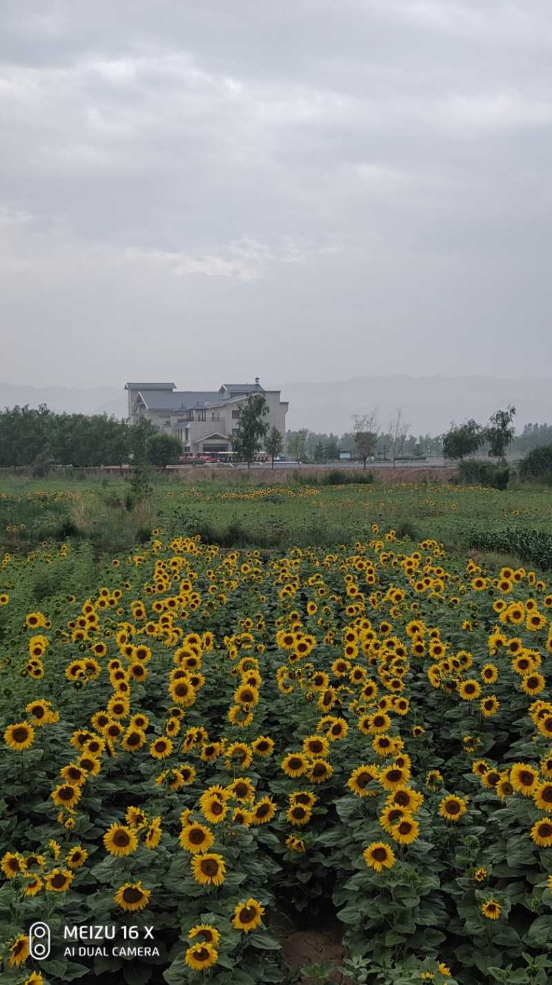 P20709-080219.jpg