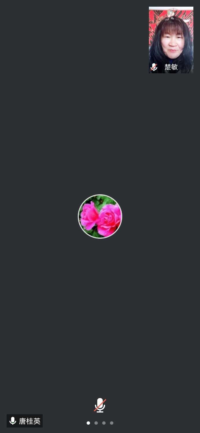 Screenshot_20220415_105736_com.tencent.wemeet.app.jpg