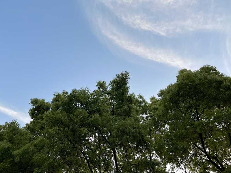΢ͼƬ_20220417095727.jpg