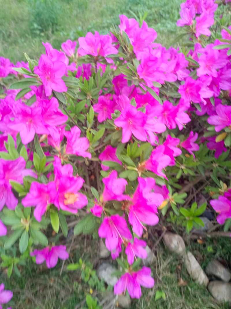 IMG_20220412_113007.jpg