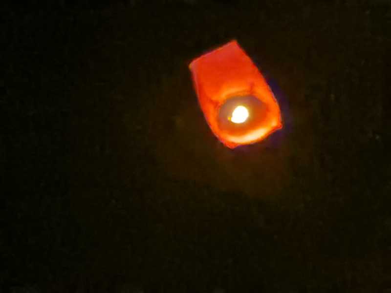 IMG_20220202_211118.jpg