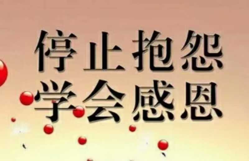 mmexport1651314074662.jpg