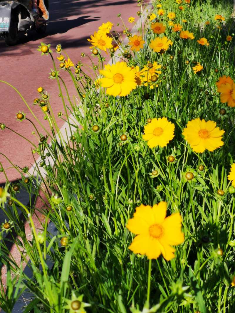 IMG_20220504_074517.jpg