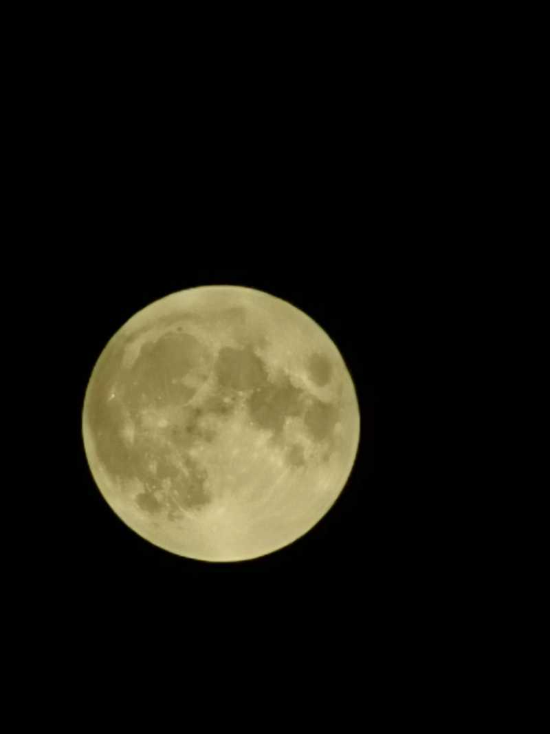 ʮ�������