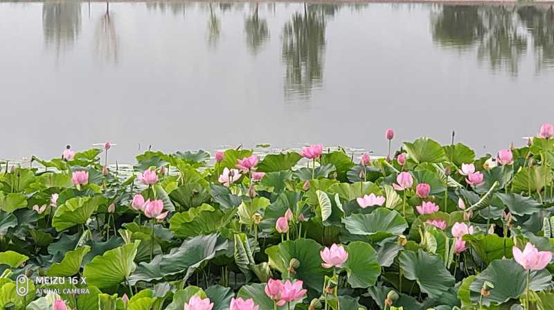 P20710-070414.jpg