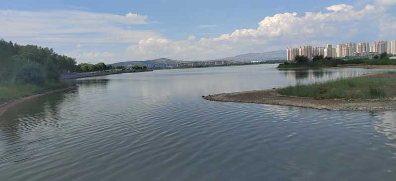 mmexport1659872548389.jpg