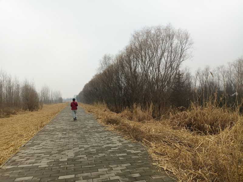 IMG20230222150443.jpg