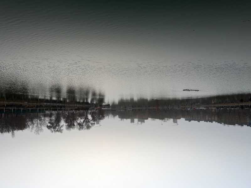 D0A77EDA-21E2-4E96-9402-49C0F34F37EB.jpeg