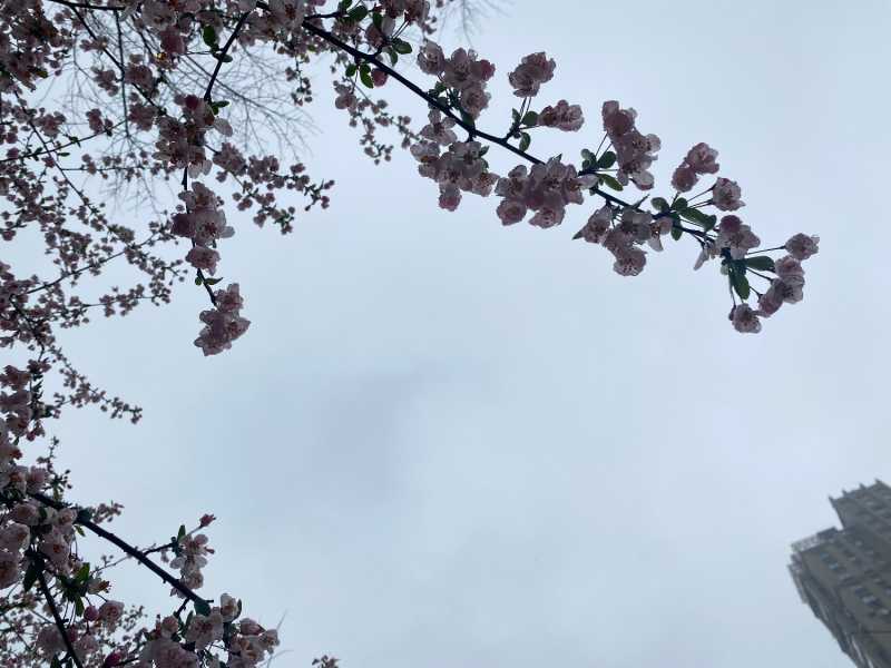 1306D93B-5CF9-491D-9ADC-FE50393210D6.jpeg