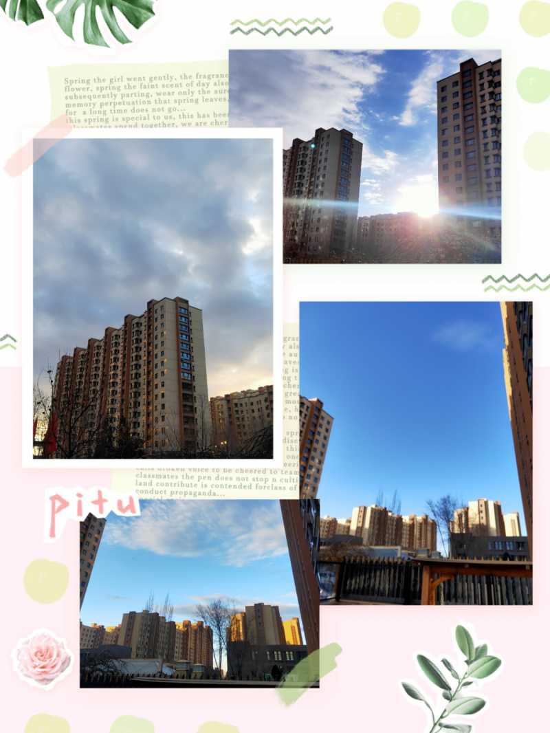 IMG_PITU_20221126_135033.jpg