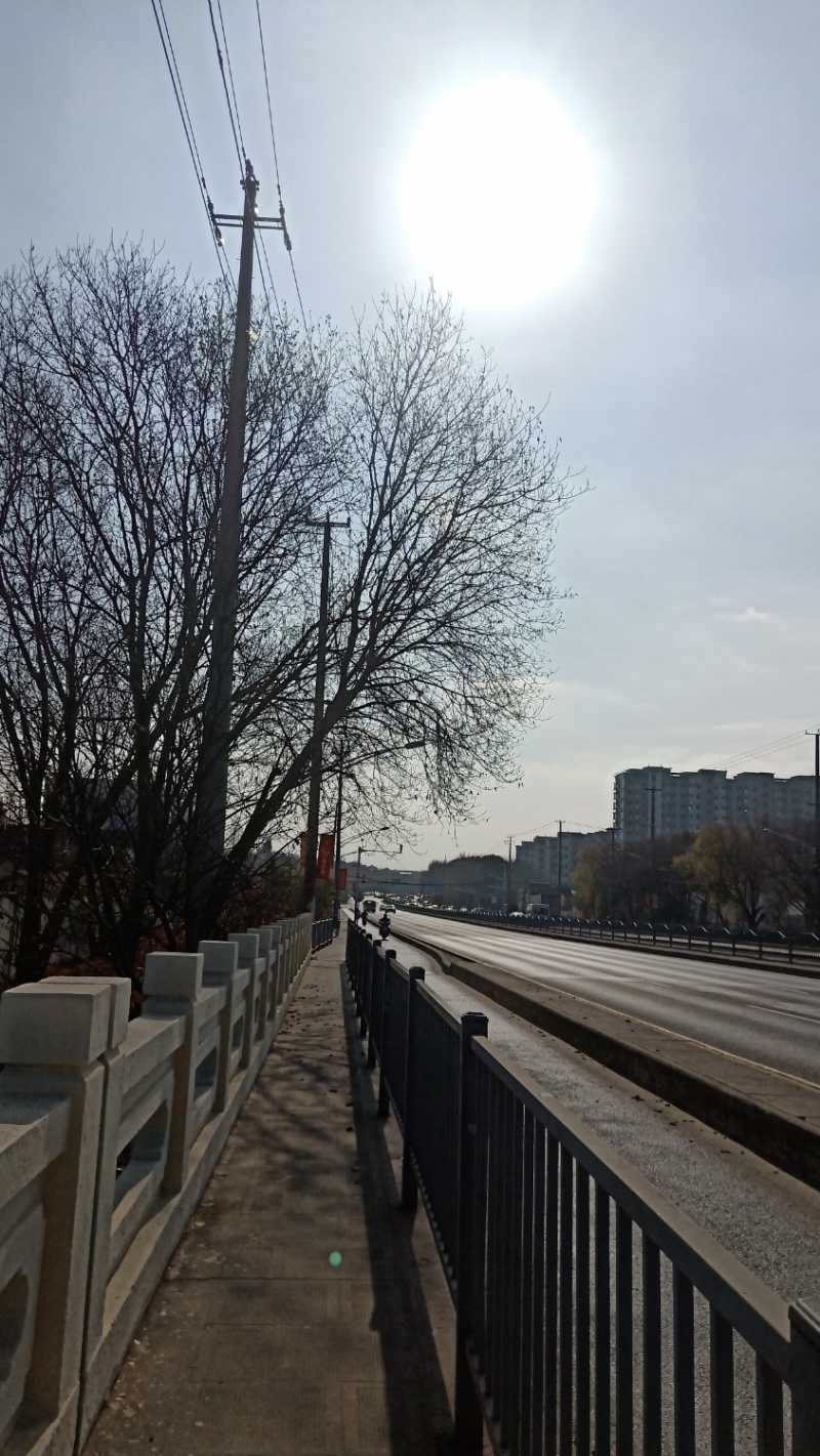 IMG20230111104426.jpg