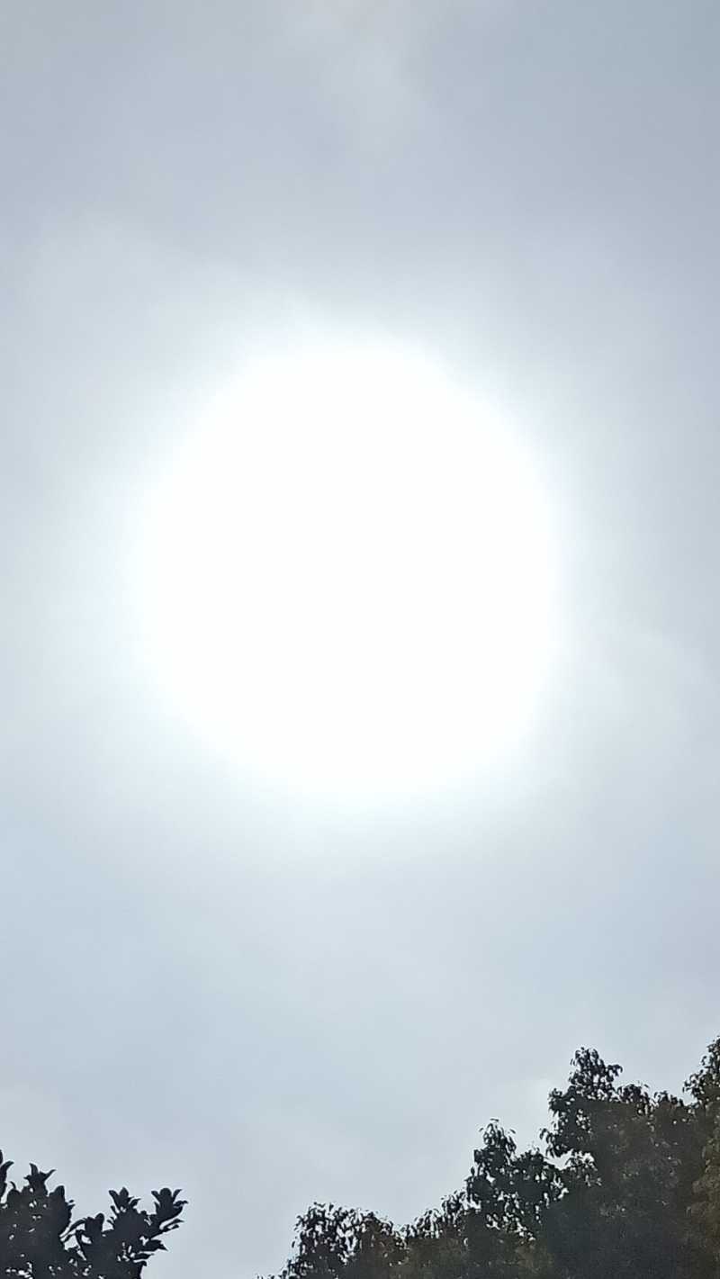 IMG20230111110117.jpg
